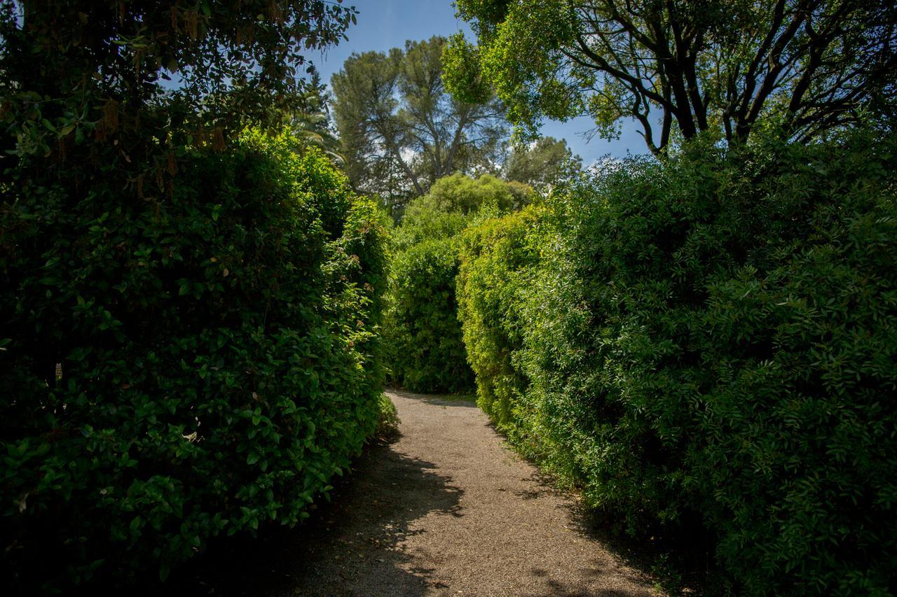 Casa Vina De Alcantara Jerez de la Frontera Eksteriør bilde